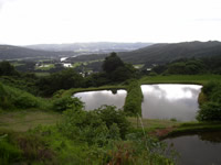 Beautiful view from Genjiro Koi Farm