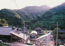 Suzujyu Koi Farm