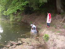 Mud ponds for raising more than 70 cm (28 in.)