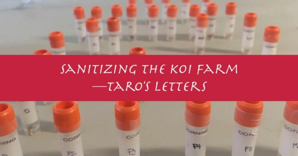 Sanitizing the Koi Farm – Letters From Taro Kodama