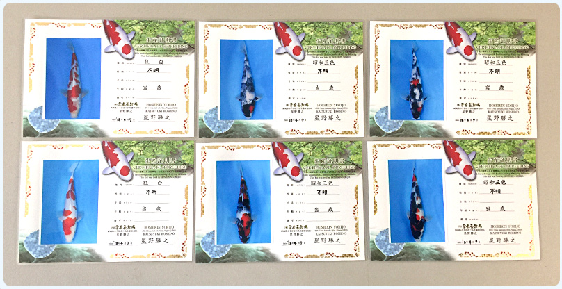certificate of breeding