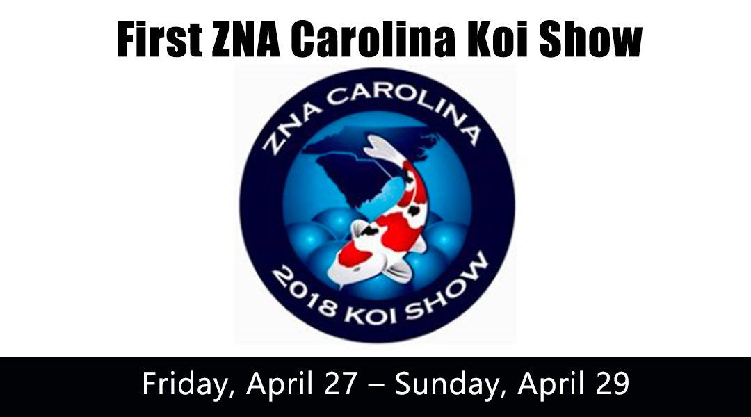 First ZNA Carolina Koi Show