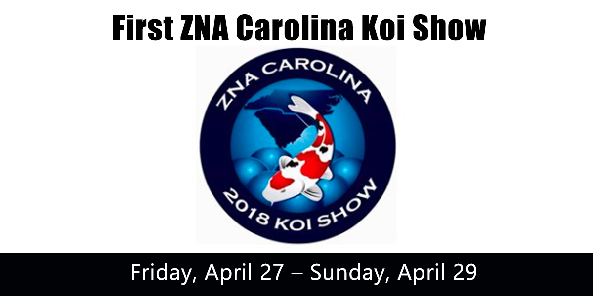 First ZNA Carolina Koi Show