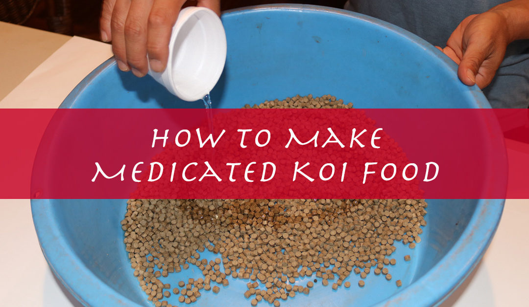 How to Make Medicated Koi Food for Bacterial Infections