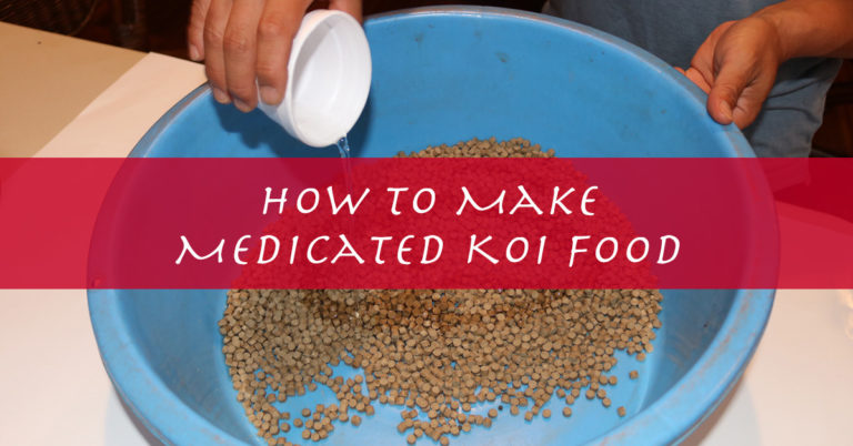 How to Make Medicated Koi Food for Bacterial Infections