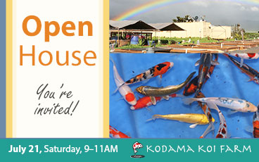 July Open House at the Koi Farm – Saturday, 7/21/18