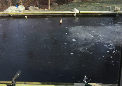 exposed-backyard-pond-winter