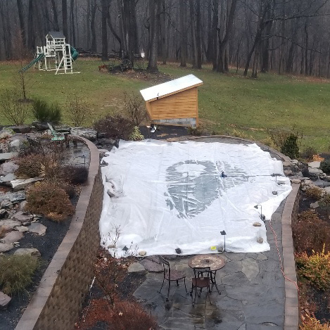 Koi Pond in Winter: Preparation Tips and Survival Guide