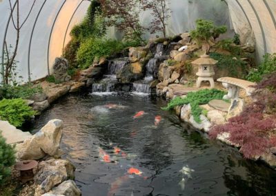 Koi Pond in Winter: Preparation Tips and Survival Guide