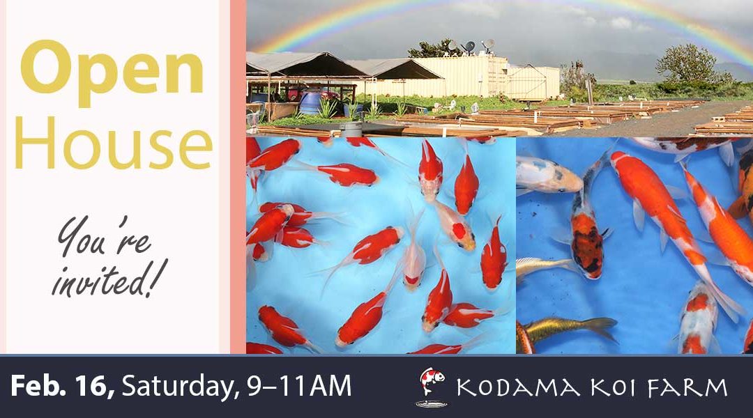 Open House Feb. 16, 2019