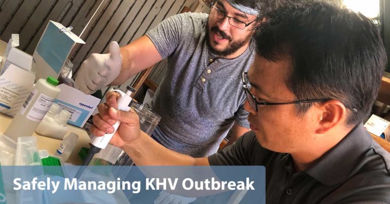 Safely Managing Japan KHV Outbreak with New Processes and Technology at the Farm