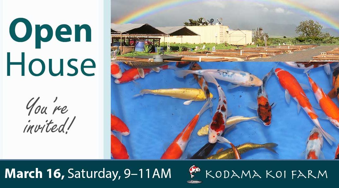 Open House March 16, 2019