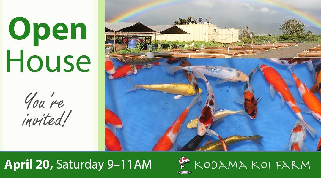 Open House April 20, 2019