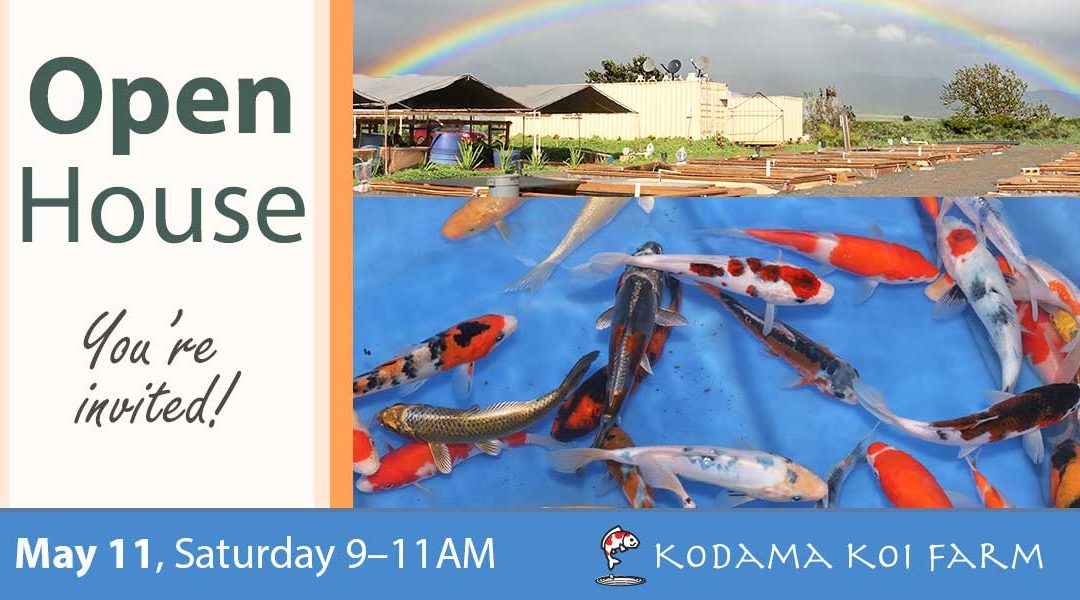 Open House May 11, 2019