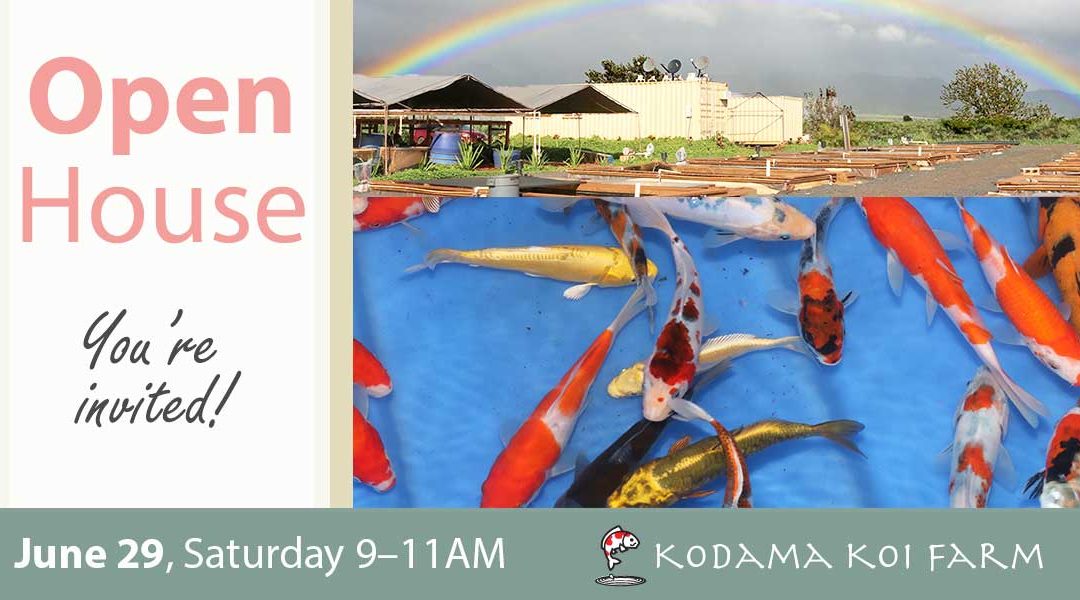 Open House June 29