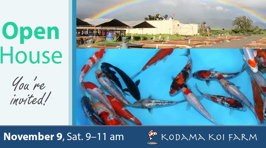 Open House November 2019