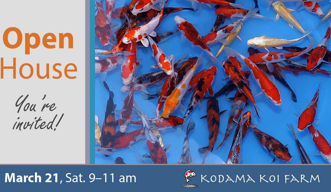 CANCELED: Open House March 2020