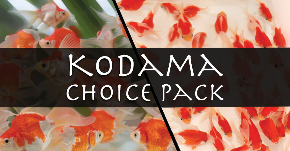 Kodama-Choice-Pack-