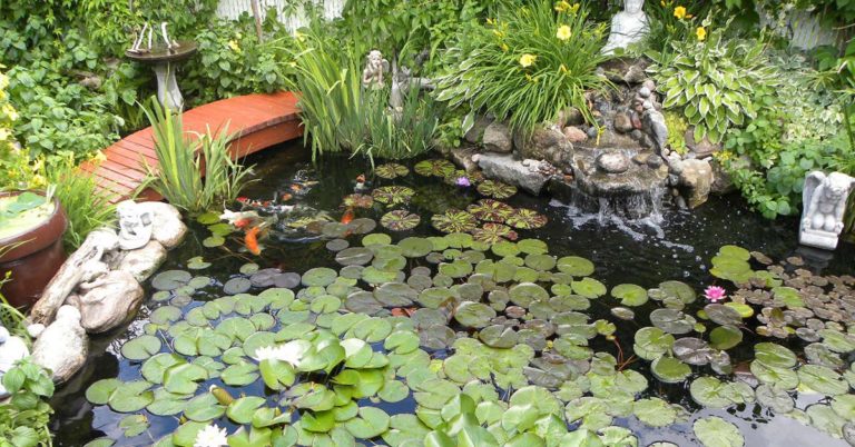 Study on Health Benefits of Koi Pond Ownership & Backyard Ponds