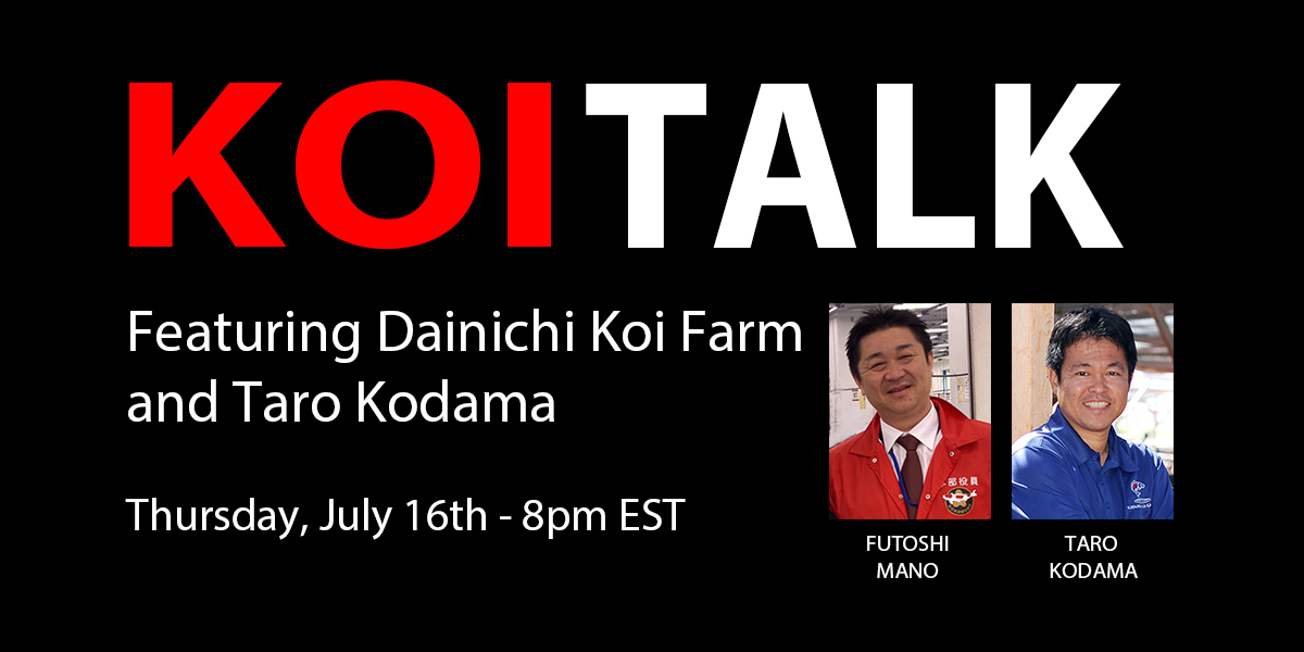 KOI TALK RECAP: Featuring Dainichi Koi Farm – Raising Champion Level Gosanke