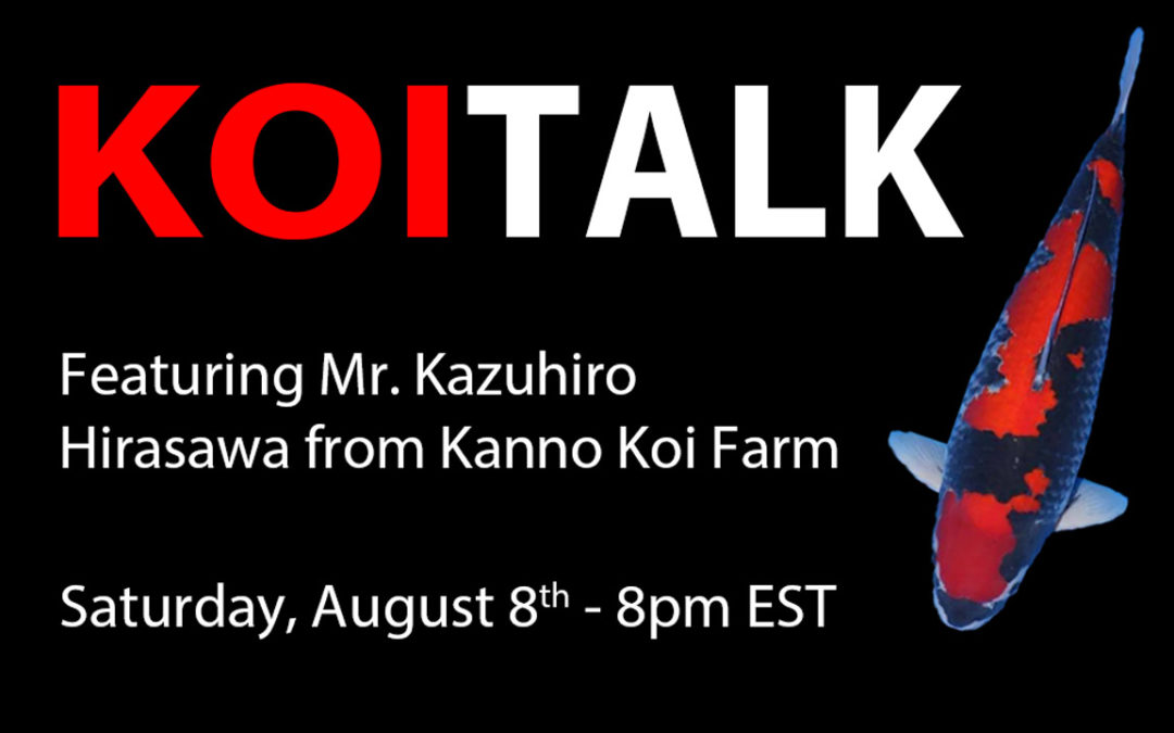 KOI TALK RECAP: Featuring Kanno Koi Farm – King of Goshiki