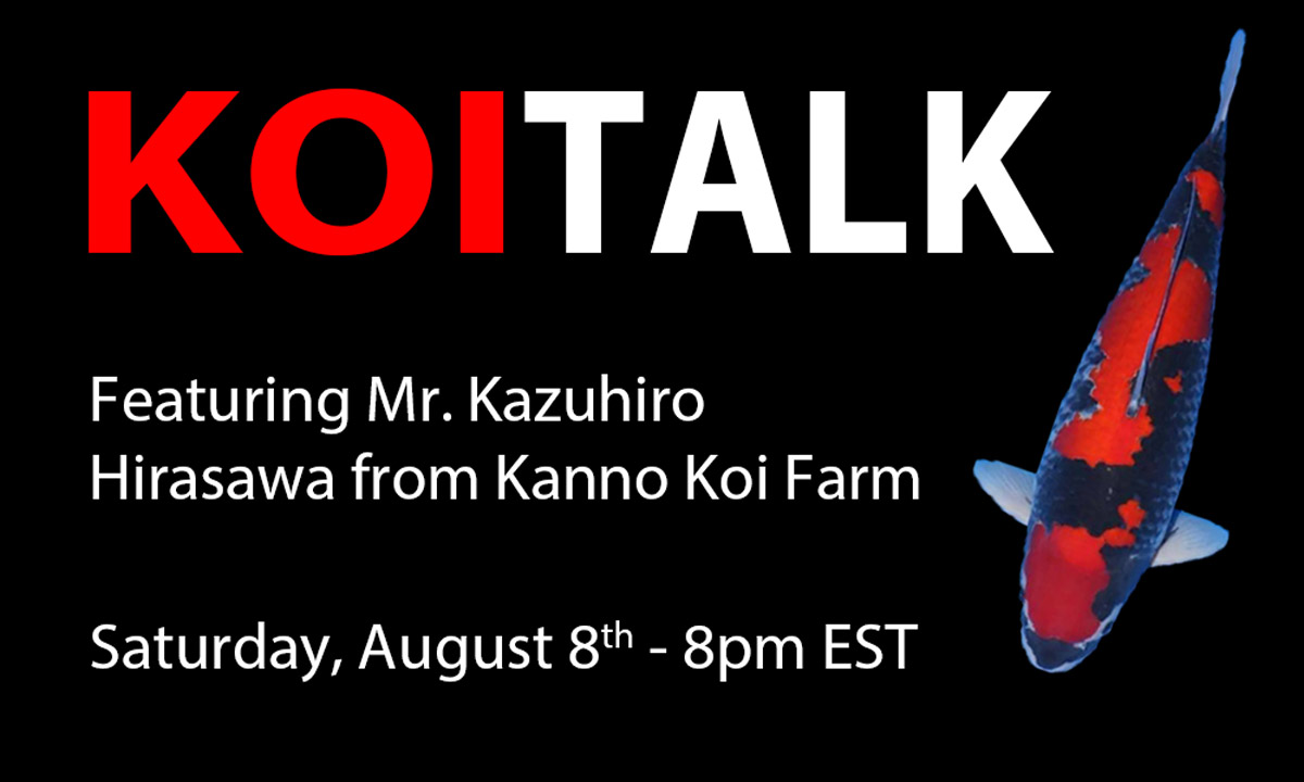 KOI TALK RECAP: Featuring Kanno Koi Farm – King of Goshiki