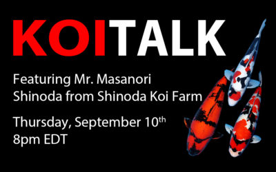 KOI TALK RECAP: Shinoda Koi Farm – History, Challenges, and Grand Champion Bloodline