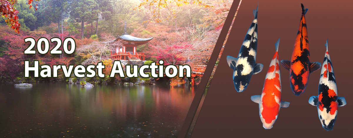 2020-Harvest Auction-1200-472-4