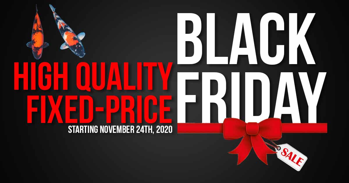 Big-Fixed-Price-Black-Friday-Banner