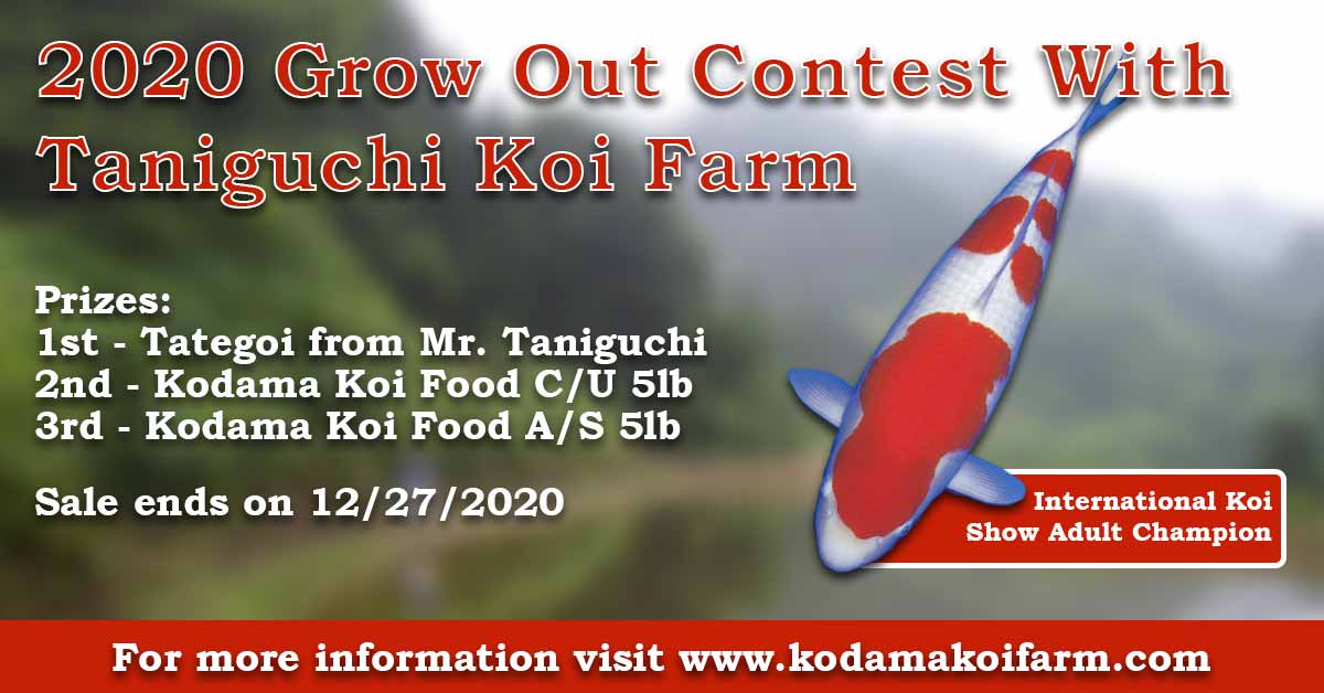 Taniguchi-Grow-Out-Contest-New-End-Date