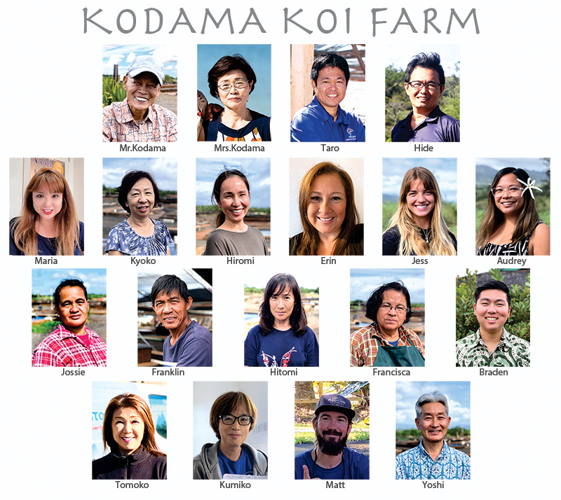 kodama member-19