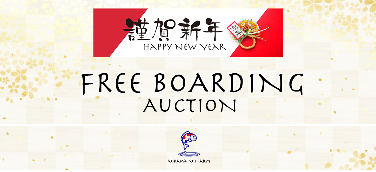 Free Boarding Auctions