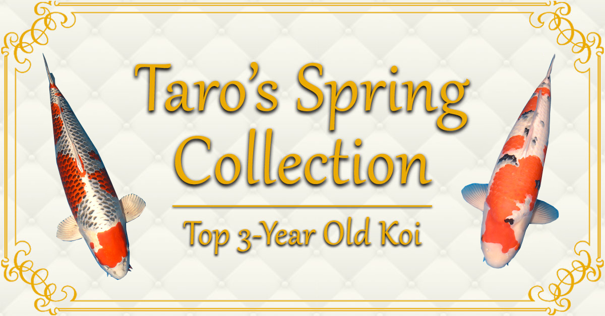 Taros-Spring-Collection banner