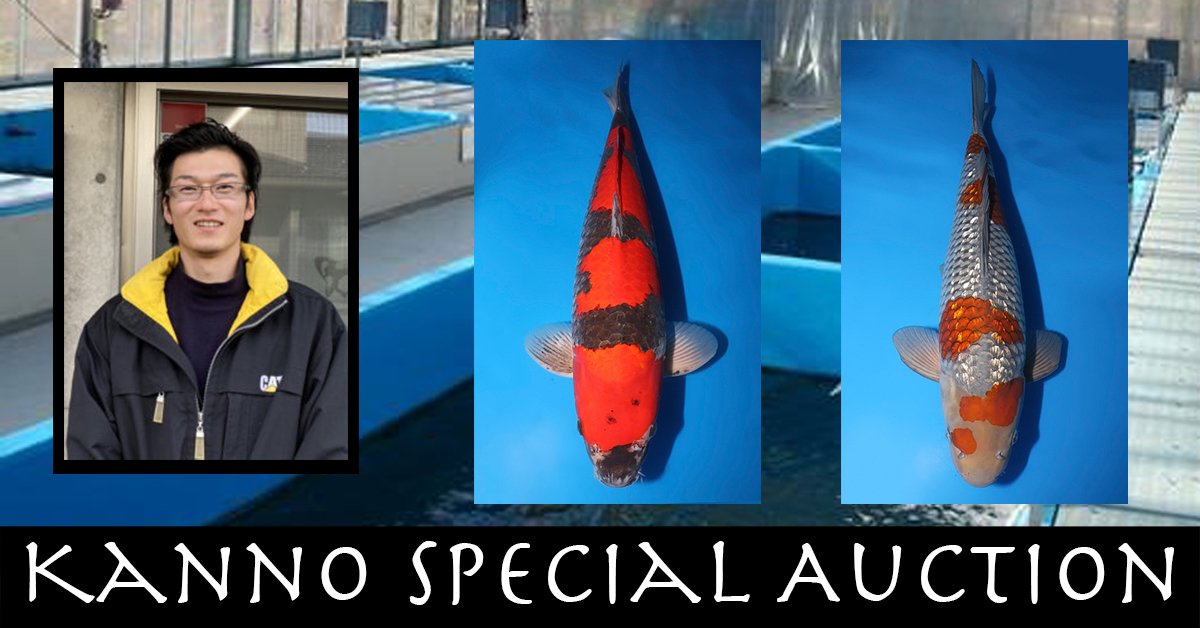 Kanno Special Auction Landing Page Banner2