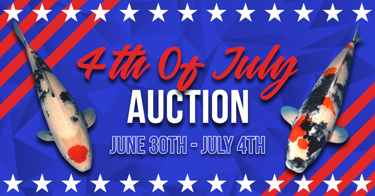 4th-of-july-auction
