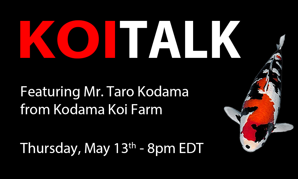 KOI TALK RECAP – Kodama Koi Farm