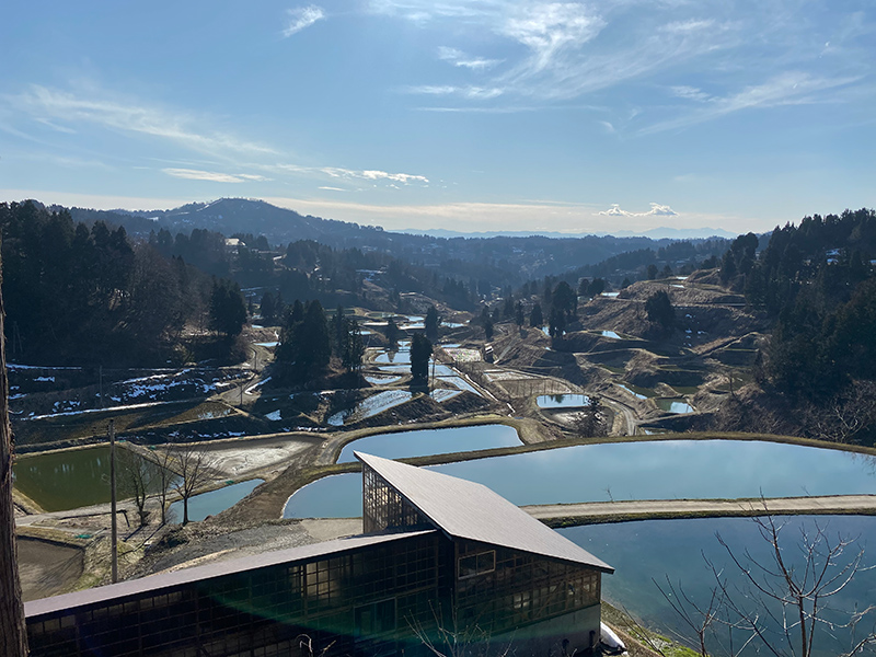 niigata-2020
