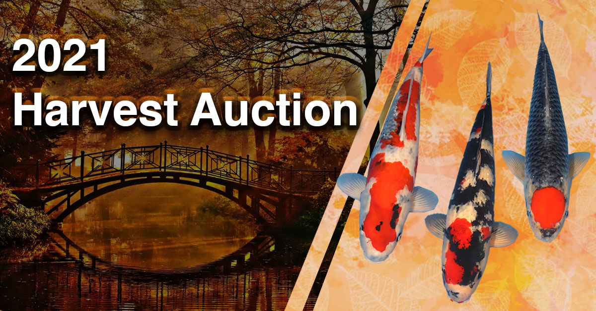 2021 Harvest Auction