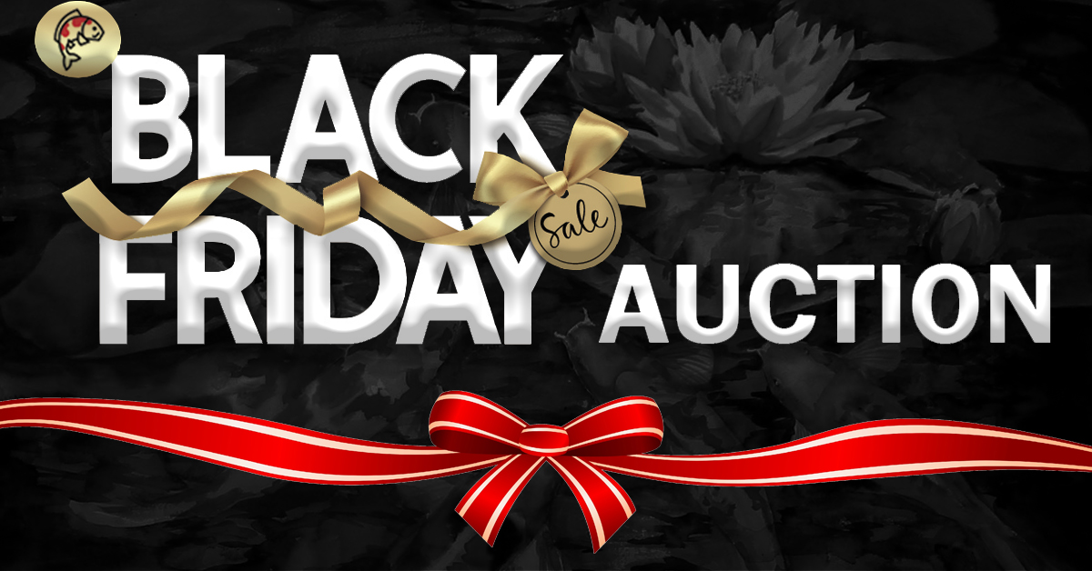2021 Black Friday Auction