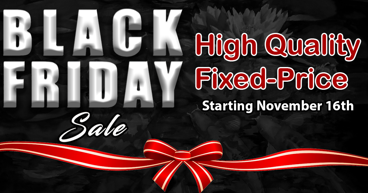 2021 Black Friday