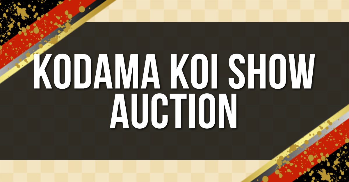 VKS Auction Page Header