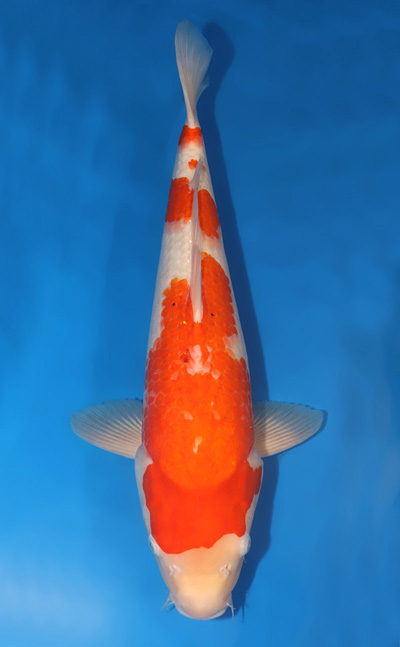 t0924s040