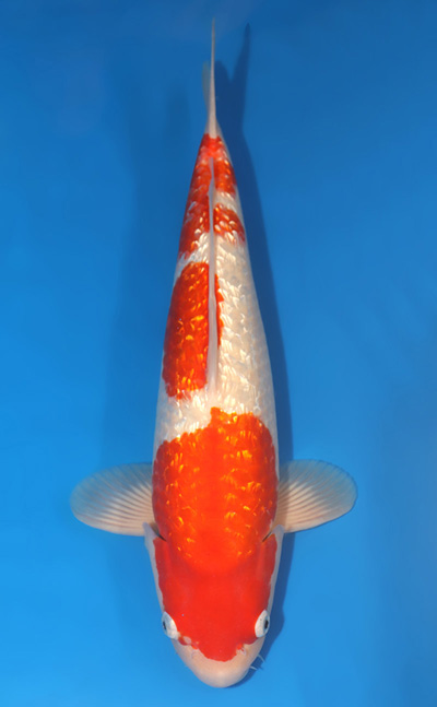 t0929s005-s0325s025