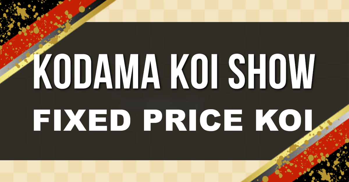 VKS-fixed price-Page-Header