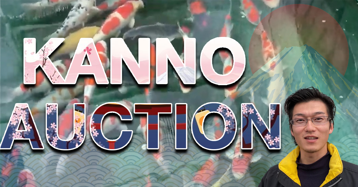 Kanno Auction Banner