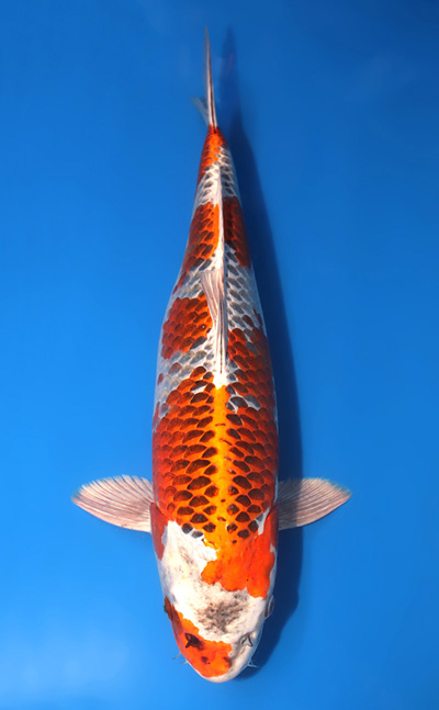 u0301m012