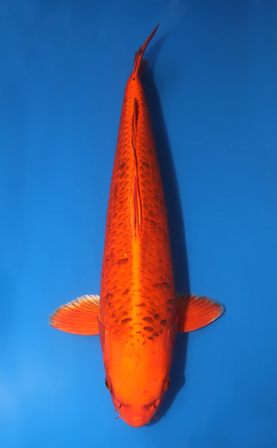 u0301m014
