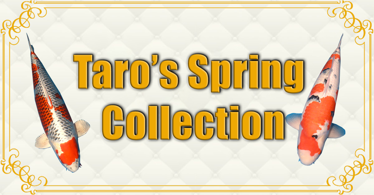 Taros-Spring-Collection-banner2
