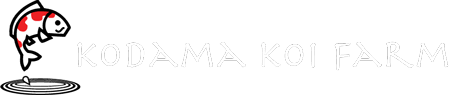 Kodama Koi Farm