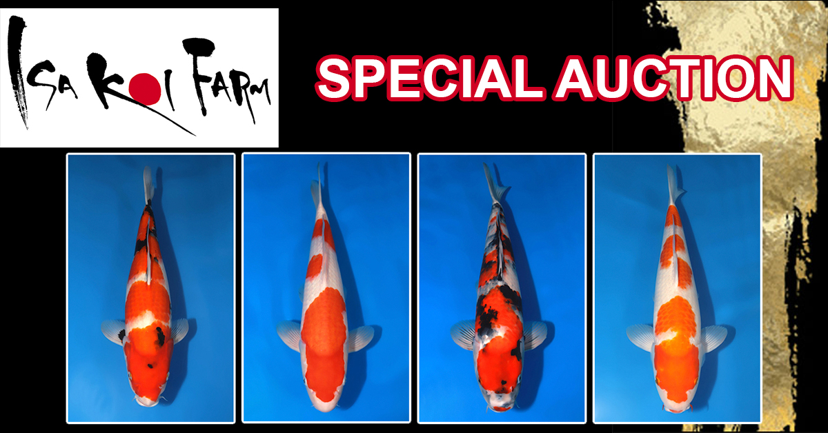 ISA Special Auction 2